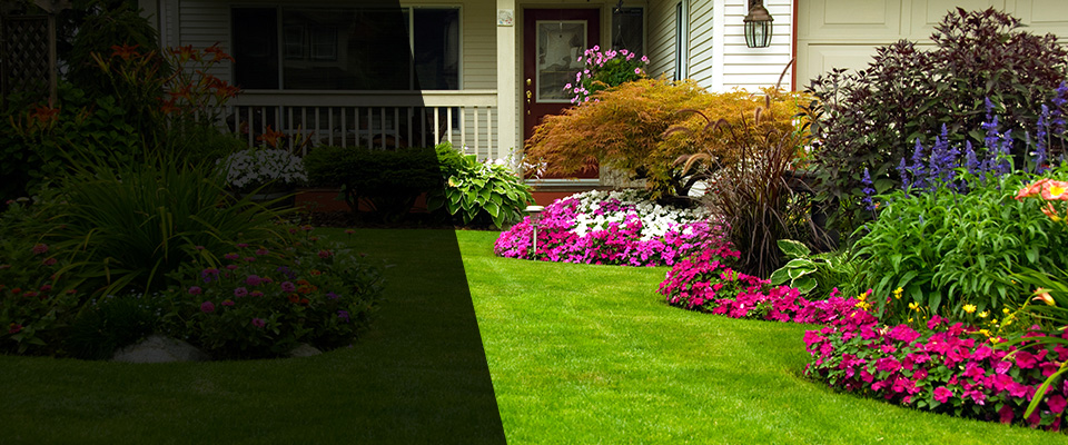 Bailey Landscapers