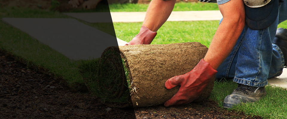 Bailey Landscapers